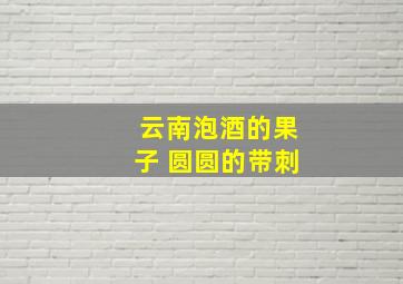 云南泡酒的果子 圆圆的带刺